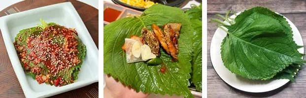깻잎 세척기 상세 이미지 1